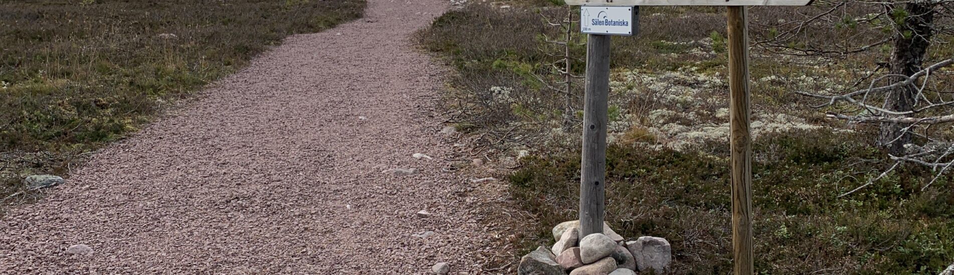 Välkommen till Sälen Botaniska - Sveriges högst belägna fjällbotaniska trädgård. Belägen längs Södra Kungsleden i Sälenfjällen. En unik trädgård med fjällets flora presenterad i en spännande miljö.