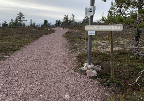 Välkommen till Sälen Botaniska - Sveriges högst belägna fjällbotaniska trädgård. Belägen längs Södra Kungsleden i Sälenfjällen. En unik trädgård med fjällets flora presenterad i en spännande miljö.