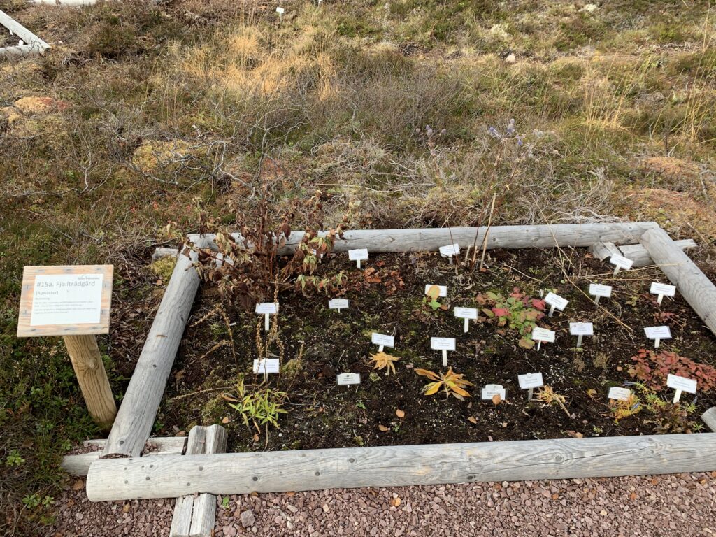    Välkommen till Sälen Botaniska - Sveriges högst belägna fjällbotaniska trädgård. Belägen längs Södra Kungsleden i Sälenfjällen. En unik trädgård med fjällets flora presenterad i en spännande miljö.